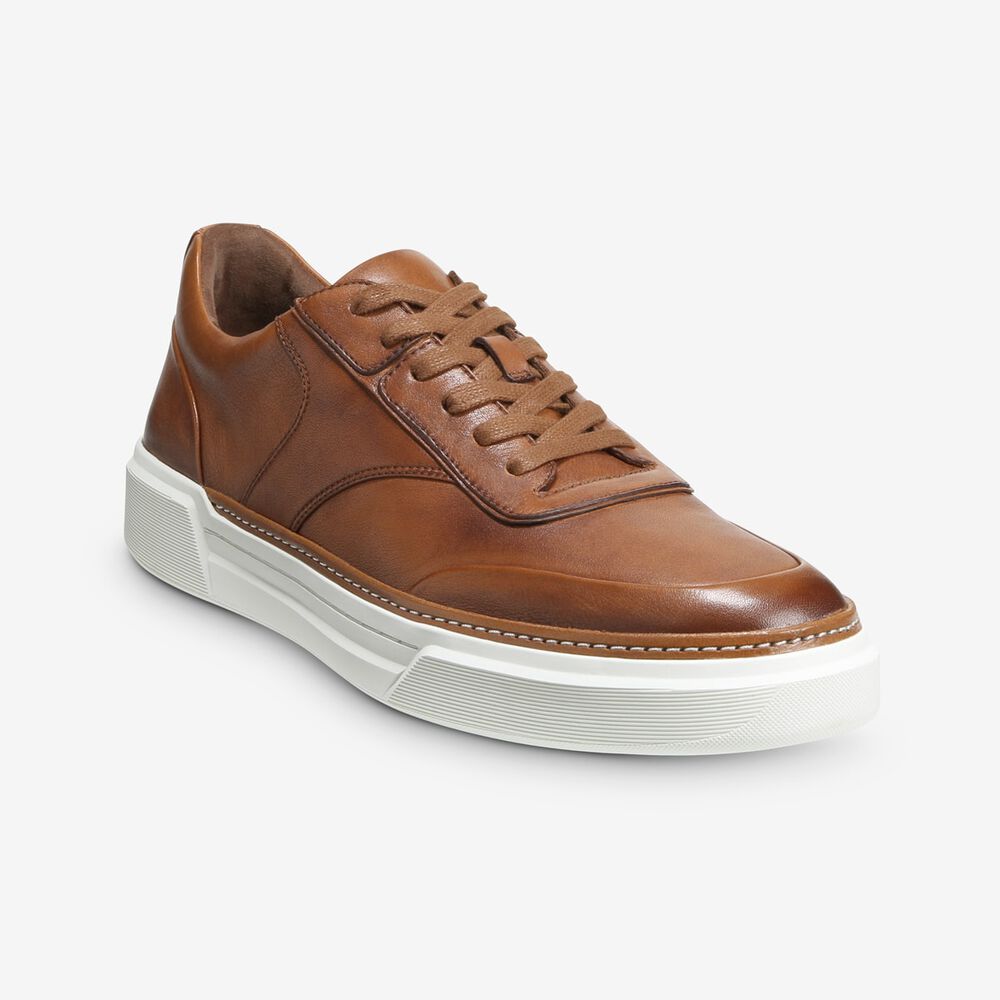 Sam Edelman Burke Men's Sneakers Brown | UK-7938160