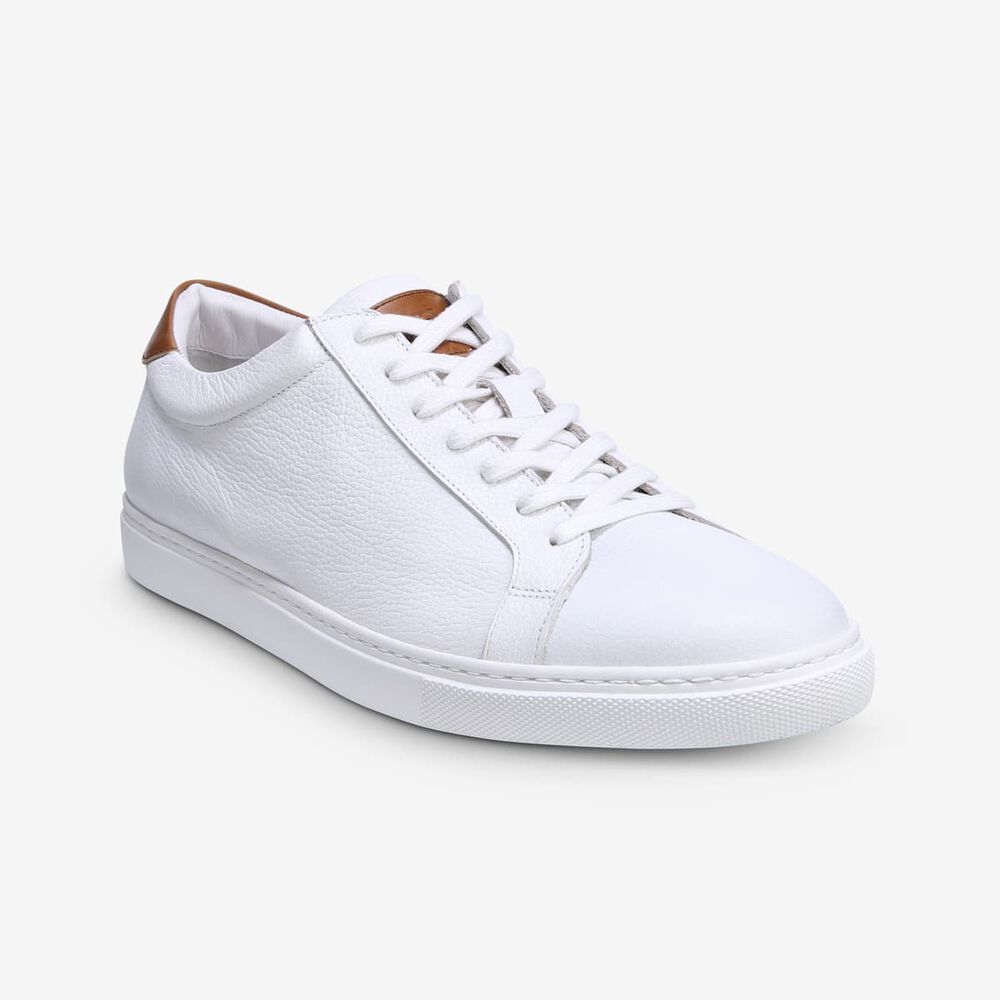 Sam Edelman Courtside Men's Sneakers White | UK-1042738