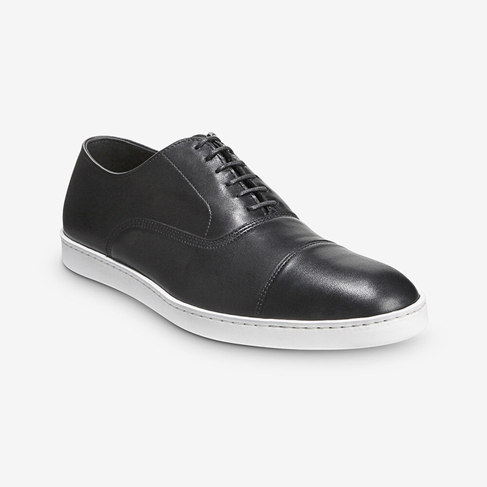 Sam Edelman Park Avenue Men's Sneakers Black | UK-2561780