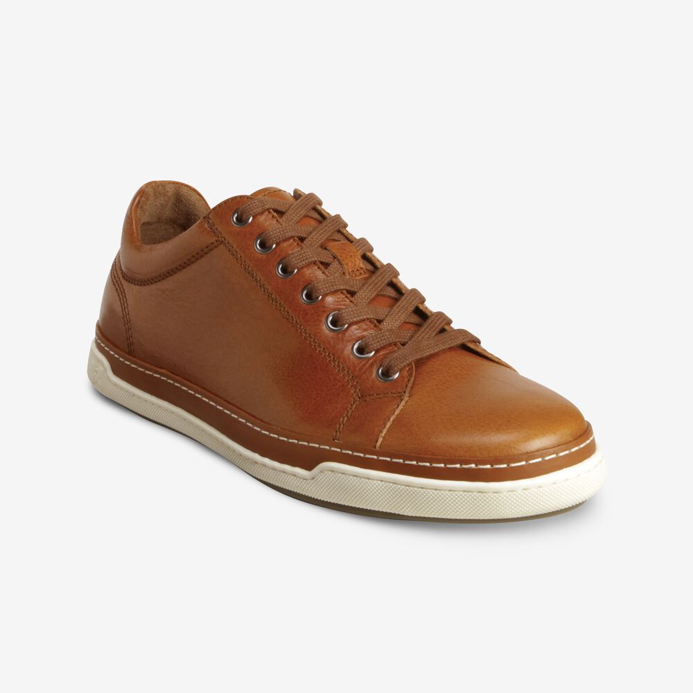 Sam Edelman Porter Derby Men's Sneakers Brown | UK-3184706