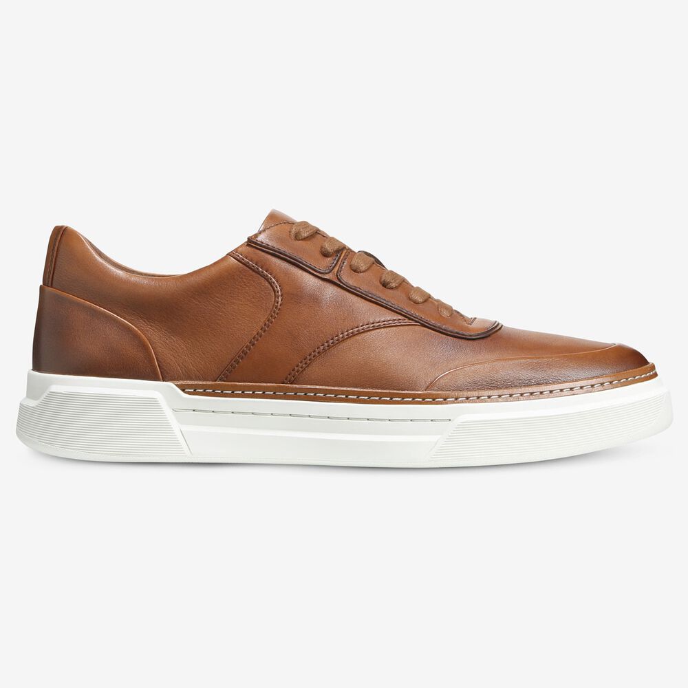 Sam Edelman Burke Men's Sneakers Brown | UK-7938160