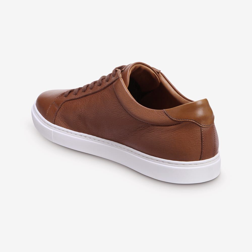 Sam Edelman Courtside Men's Sneakers Brown | UK-9720315