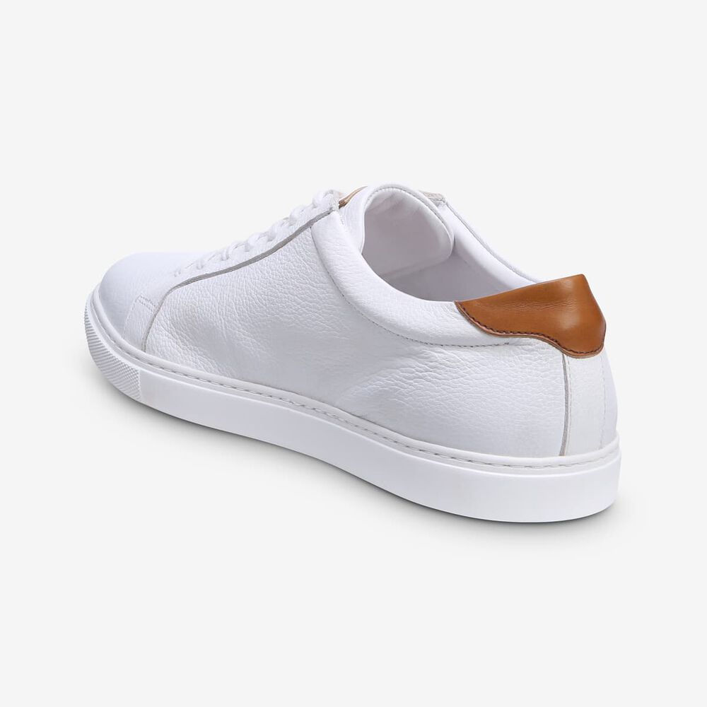 Sam Edelman Courtside Men's Sneakers White | UK-1042738