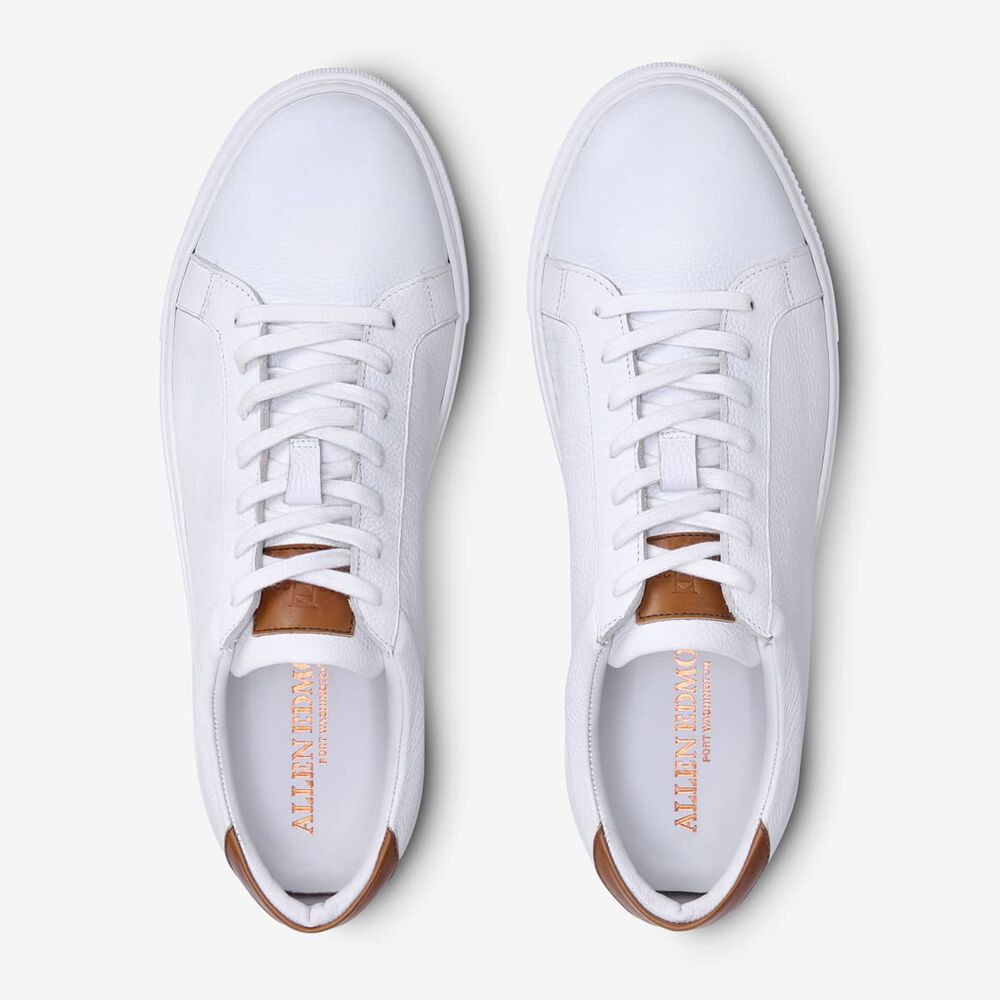 Sam Edelman Courtside Men's Sneakers White | UK-1042738