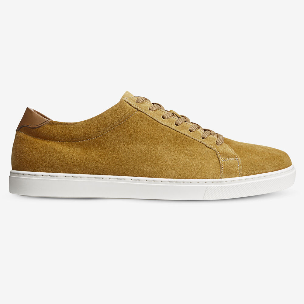 Sam Edelman Courtside Men's Sneakers Yellow | UK-7296853