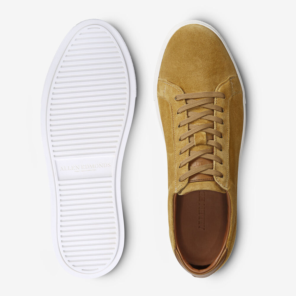 Sam Edelman Courtside Men's Sneakers Yellow | UK-7296853