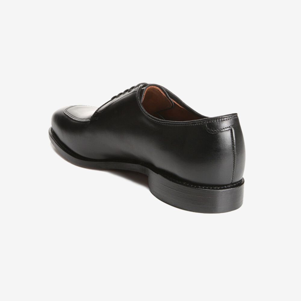 Sam Edelman Delray Men's Dress Shoes Black | UK-1263974