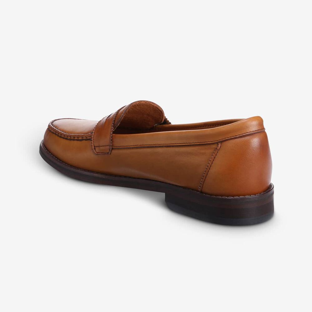 Sam Edelman Dylan Men's Penny Loafer Brown | UK-3105729