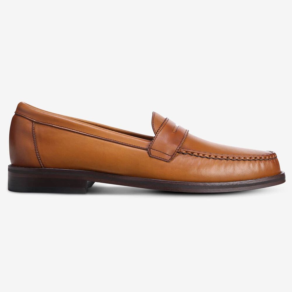 Sam Edelman Dylan Men's Penny Loafer Brown | UK-3105729