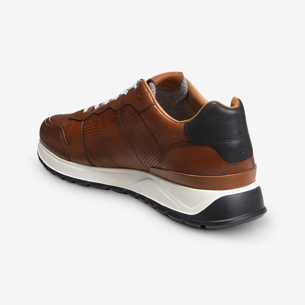 Sam Edelman Lightyear Men's Sneakers Brown | UK-8903257