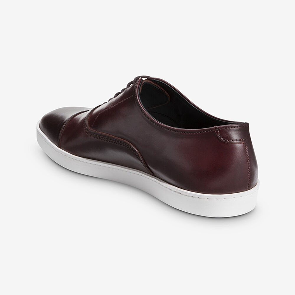 Sam Edelman Park Avenue Men's Dress Shoes Burgundy | UK-1086245