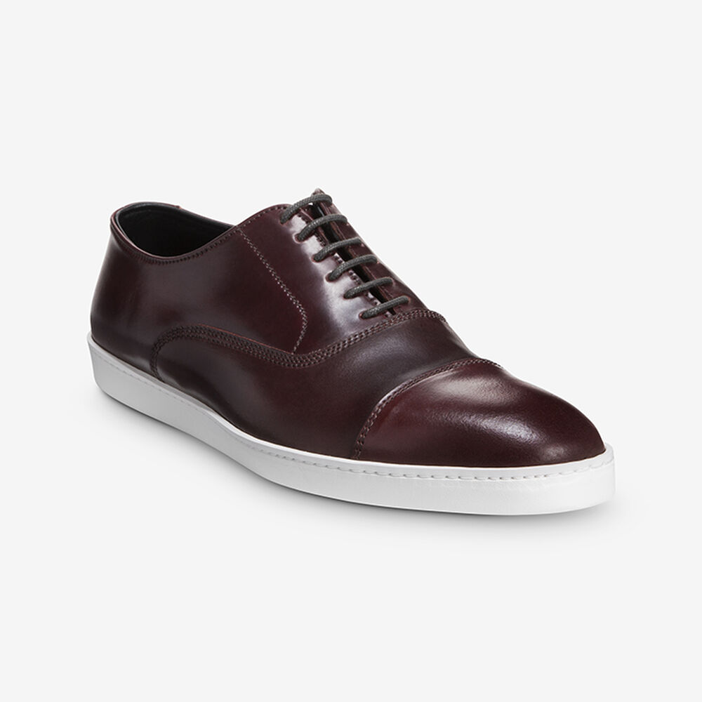 Sam Edelman Park Avenue Men\'s Dress Shoes Burgundy | UK-1086245