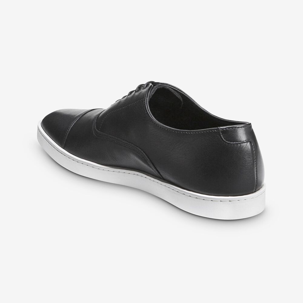 Sam Edelman Park Avenue Men's Sneakers Black | UK-2561780