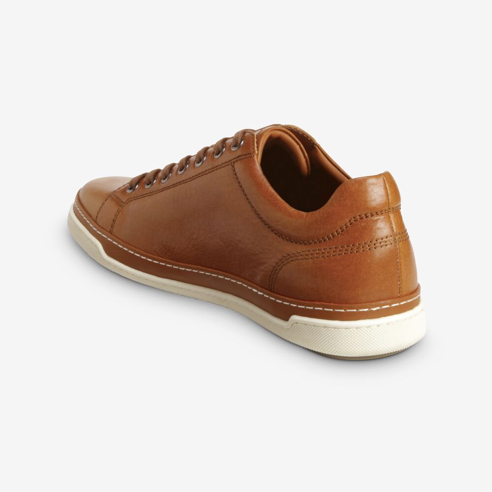 Sam Edelman Porter Derby Men's Sneakers Brown | UK-3184706