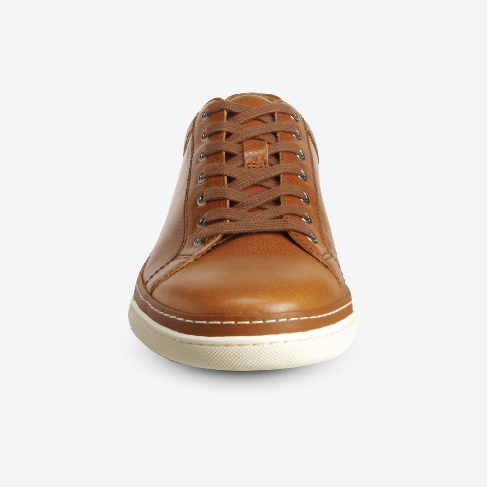 Sam Edelman Porter Derby Men's Sneakers Brown | UK-3184706