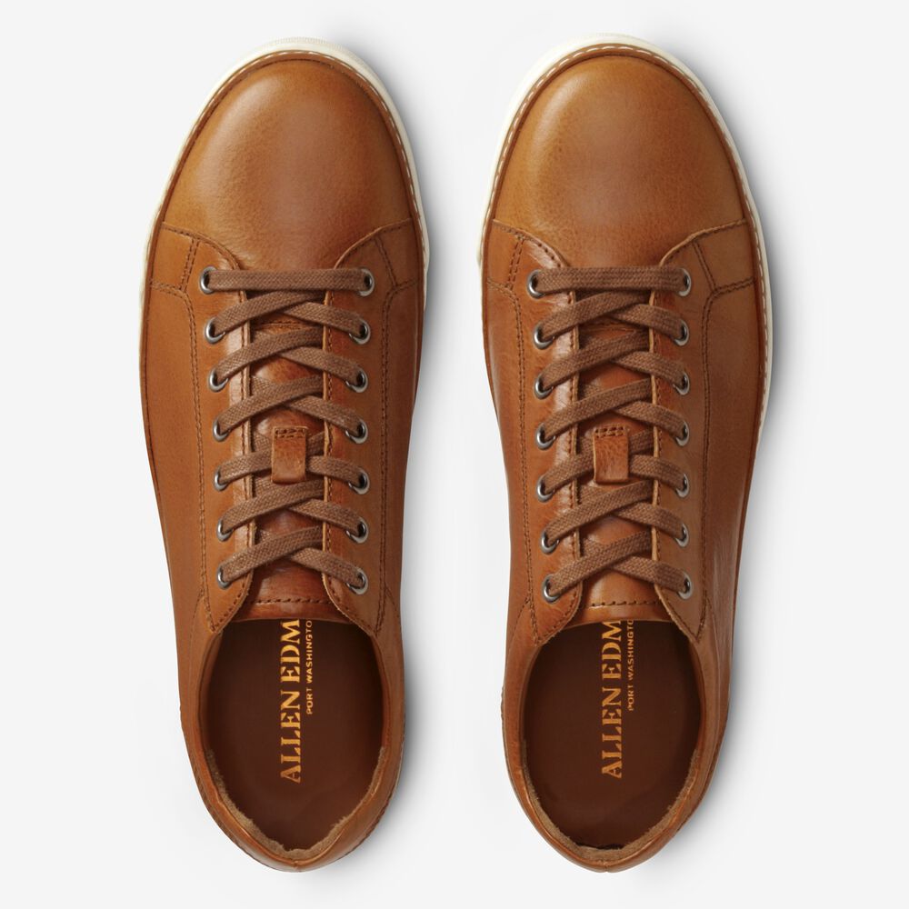 Sam Edelman Porter Derby Men's Sneakers Brown | UK-3184706