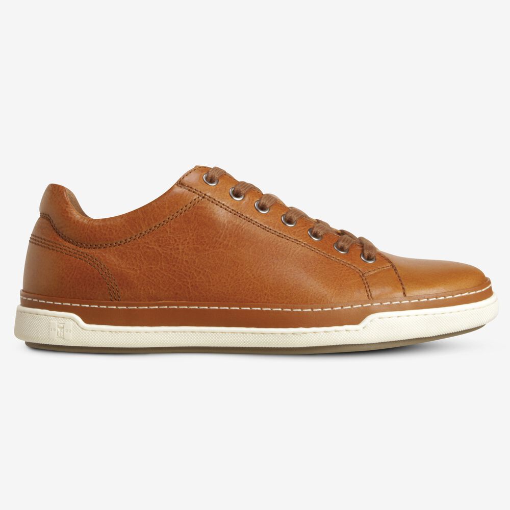 Sam Edelman Porter Derby Men's Sneakers Brown | UK-3184706